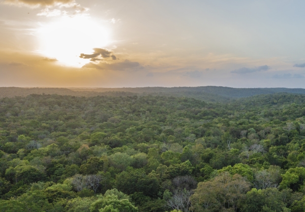 Selva Maya Alliance, home of an Ecosystem services project in Mexico